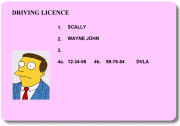 UK Driving Licence (joke version)