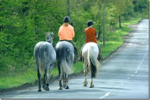 Horse riders on the road