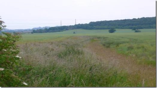 Fairham Pastures greenbelt and farmland