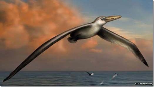 The largest flying bird ever