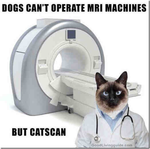 Catscan